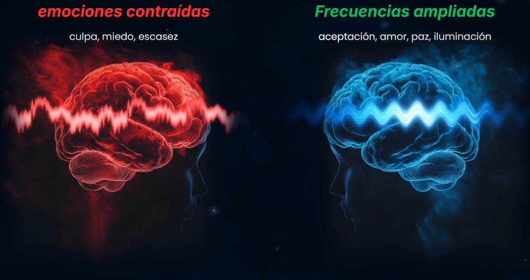 Emociones contraídas vs Frecuencias ampliadas